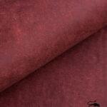 BADALASSI CARLO PUEBLO - Coccinella