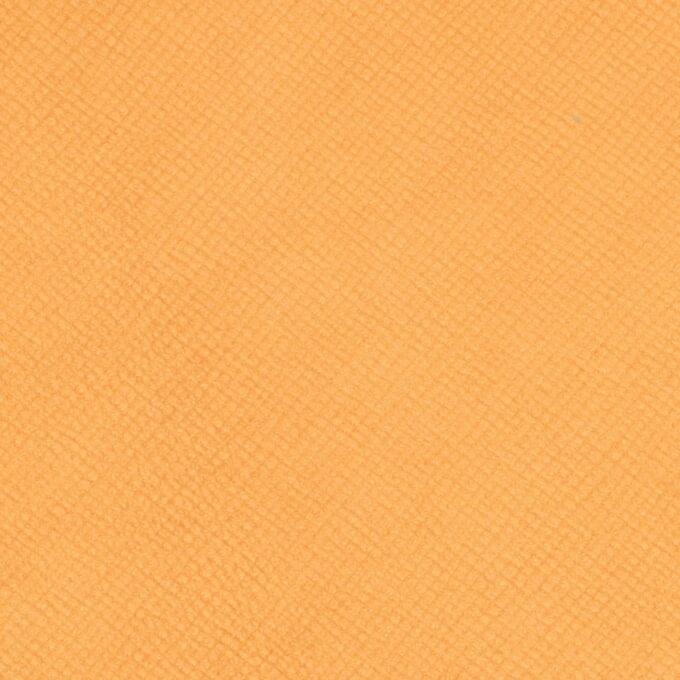 WALPIER NATURAL EMBOSSED - CROCO - CAVIAR - ELEPHANT PRINT - SAFFIANO B GRADE