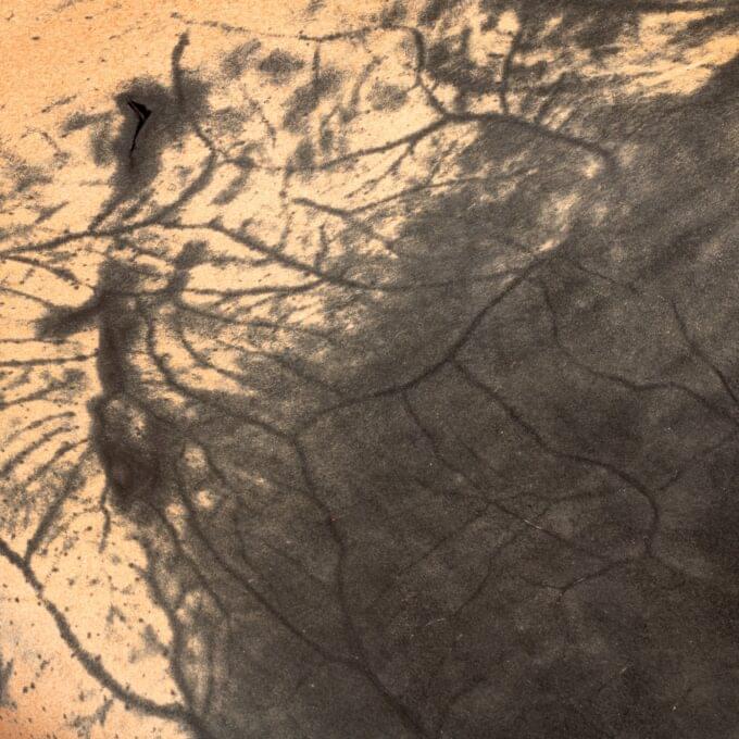 Culatta cavallo ”Flower marbled” of GUIDI - Black - Pre-order