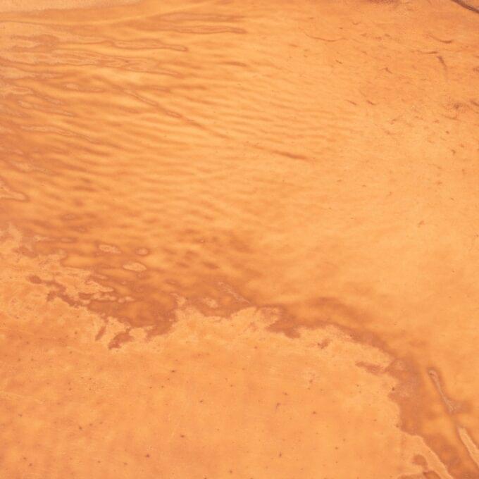 Culatta cavallo ”Flower marbled” of GUIDI - Whiskey