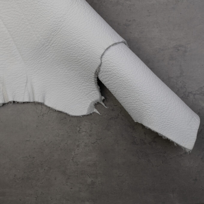 TANNERY REMY CARRIAT LAGUN