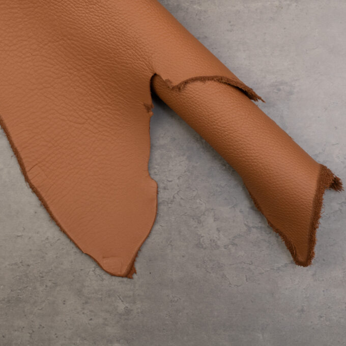 TANNERY REMY CARRIAT LAGUN