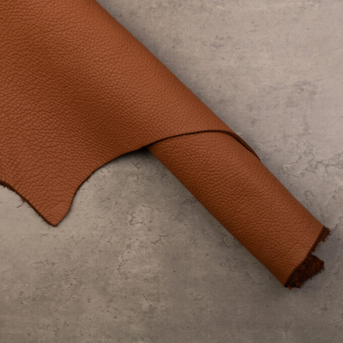 TANNERY REMY CARRIAT LAGUN