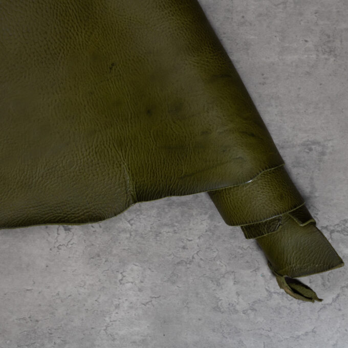 BADALASSI CARLO MINERVA BOX