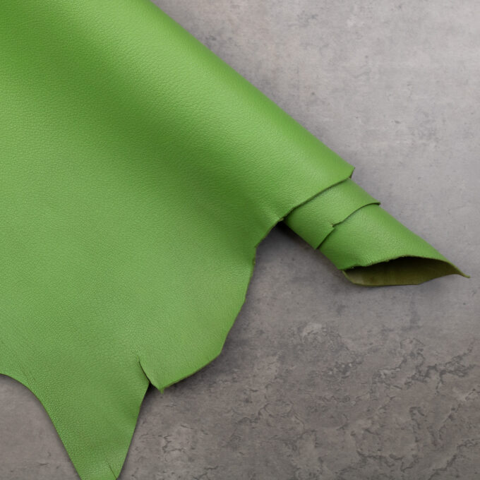 ALRAN FRENCH GOAT - PRAIRIE