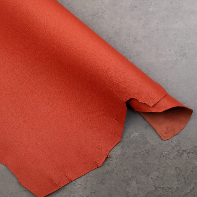 ALRAN FRENCH GOAT - FLAMME