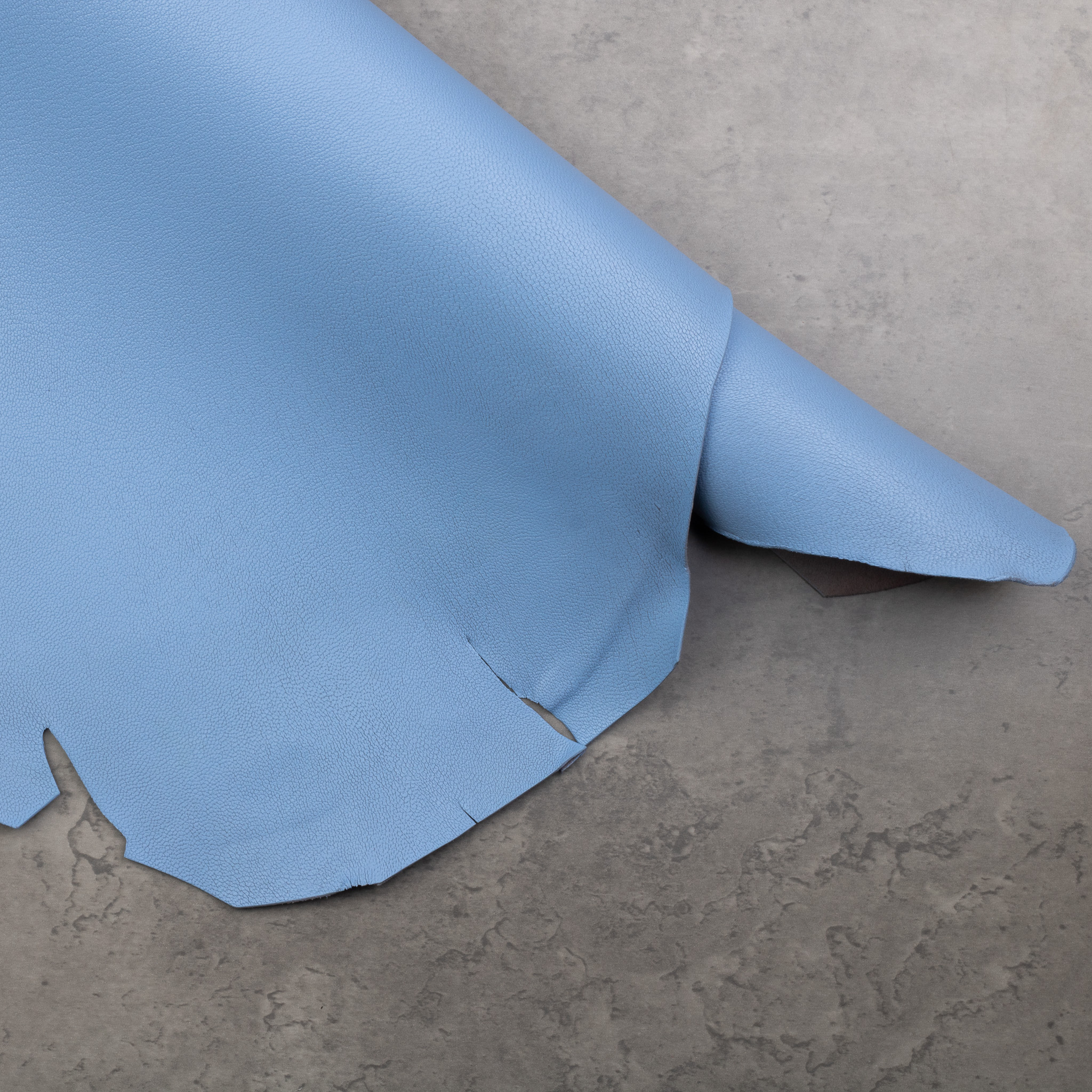 ALRAN FRENCH GOAT - BLEU VISTA