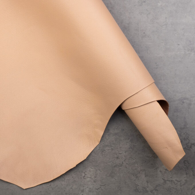 ALRAN FRENCH GOAT - COQUILLE