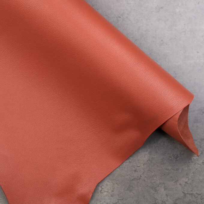 ALRAN FRENCH GOAT - COLORADO