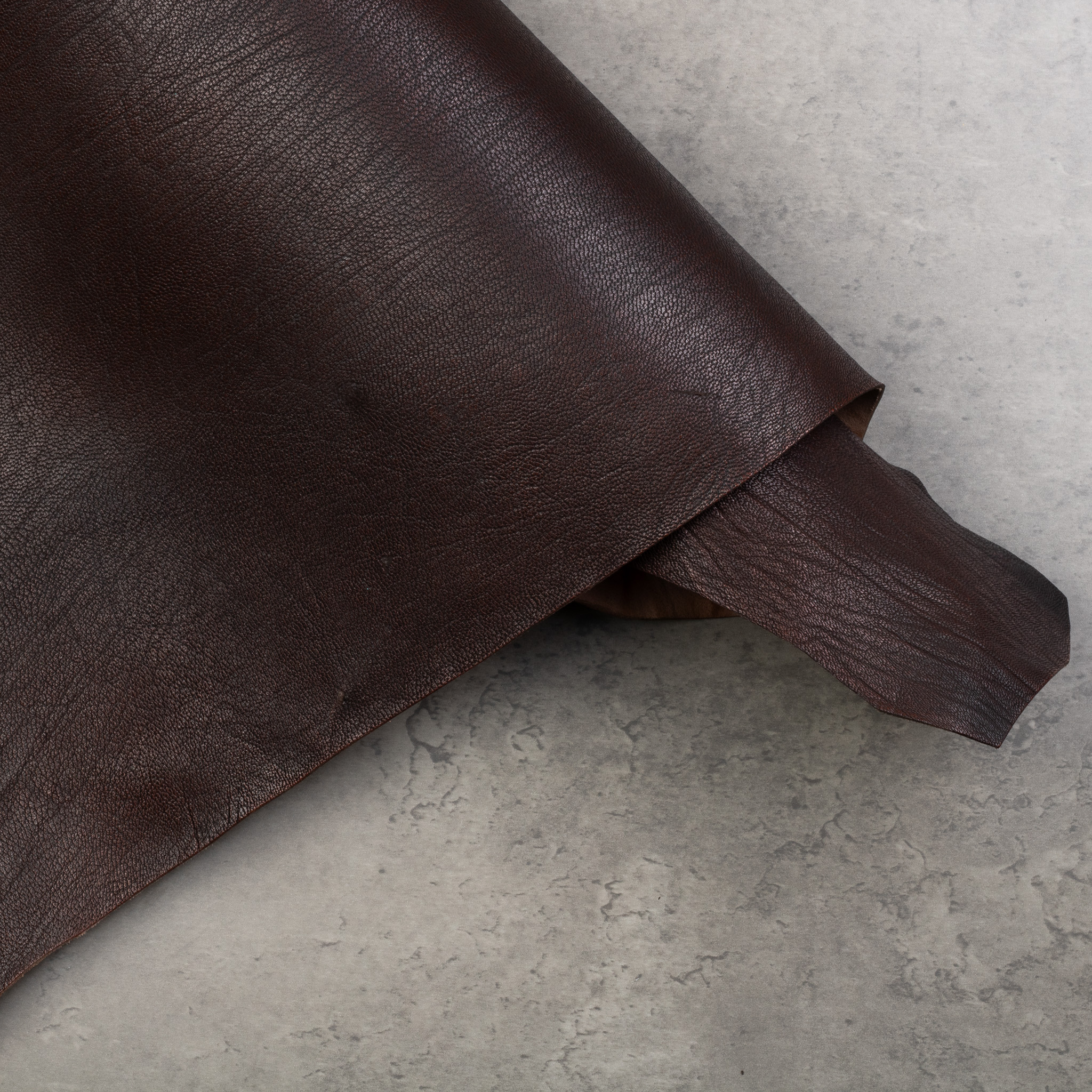 ALRAN GOAT PATNAT - A/B GRADE - Image 4