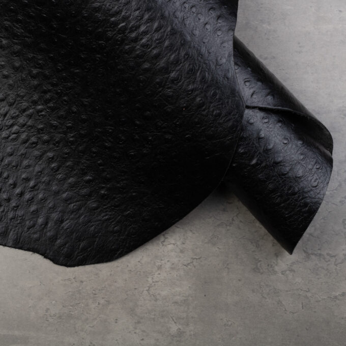 CONCERIA WALPIER OSTRICH EMBOSSED