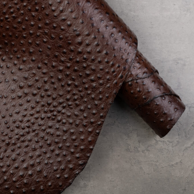 CONCERIA WALPIER OSTRICH EMBOSSED