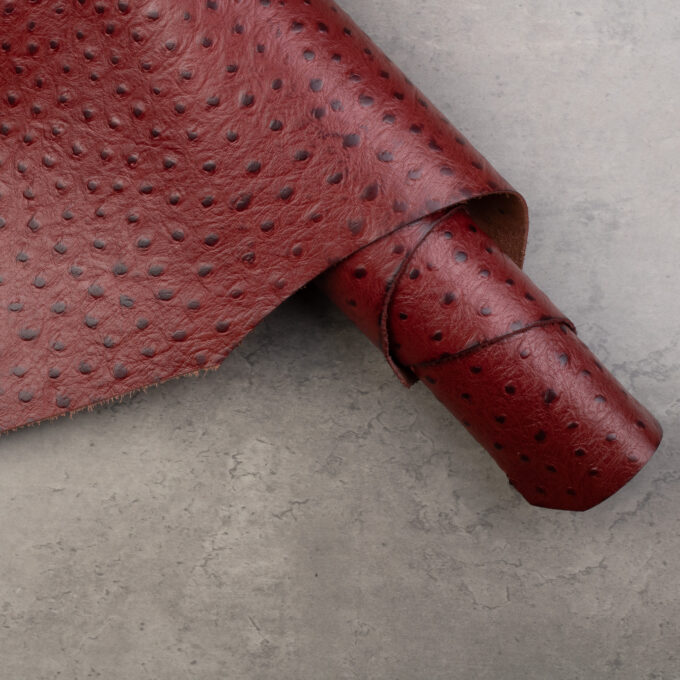 CONCERIA WALPIER OSTRICH EMBOSSED