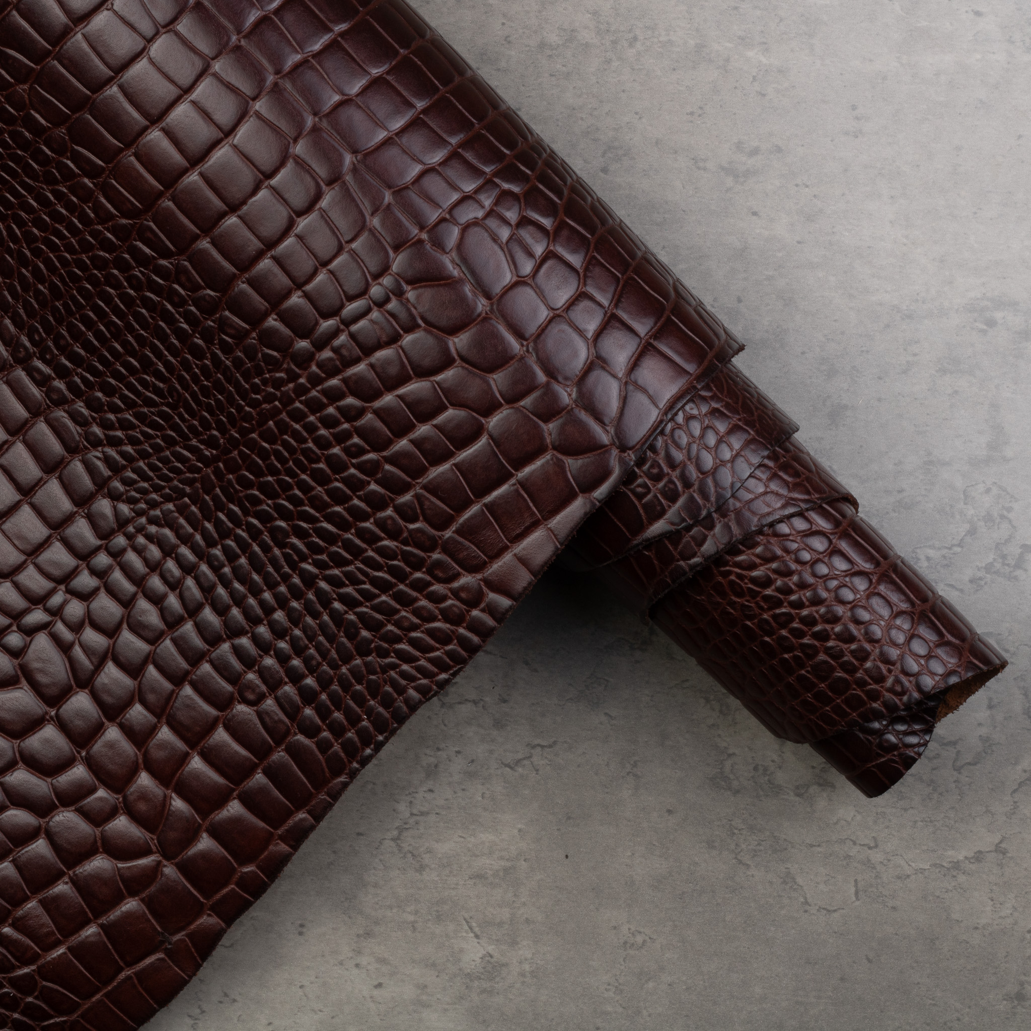 CONCERIA WALPIER CROCO EMBOSSED - Image 6