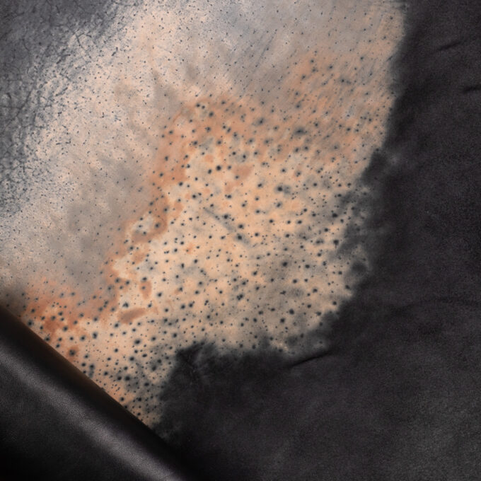 Culatta cavallo polished volonato - Black